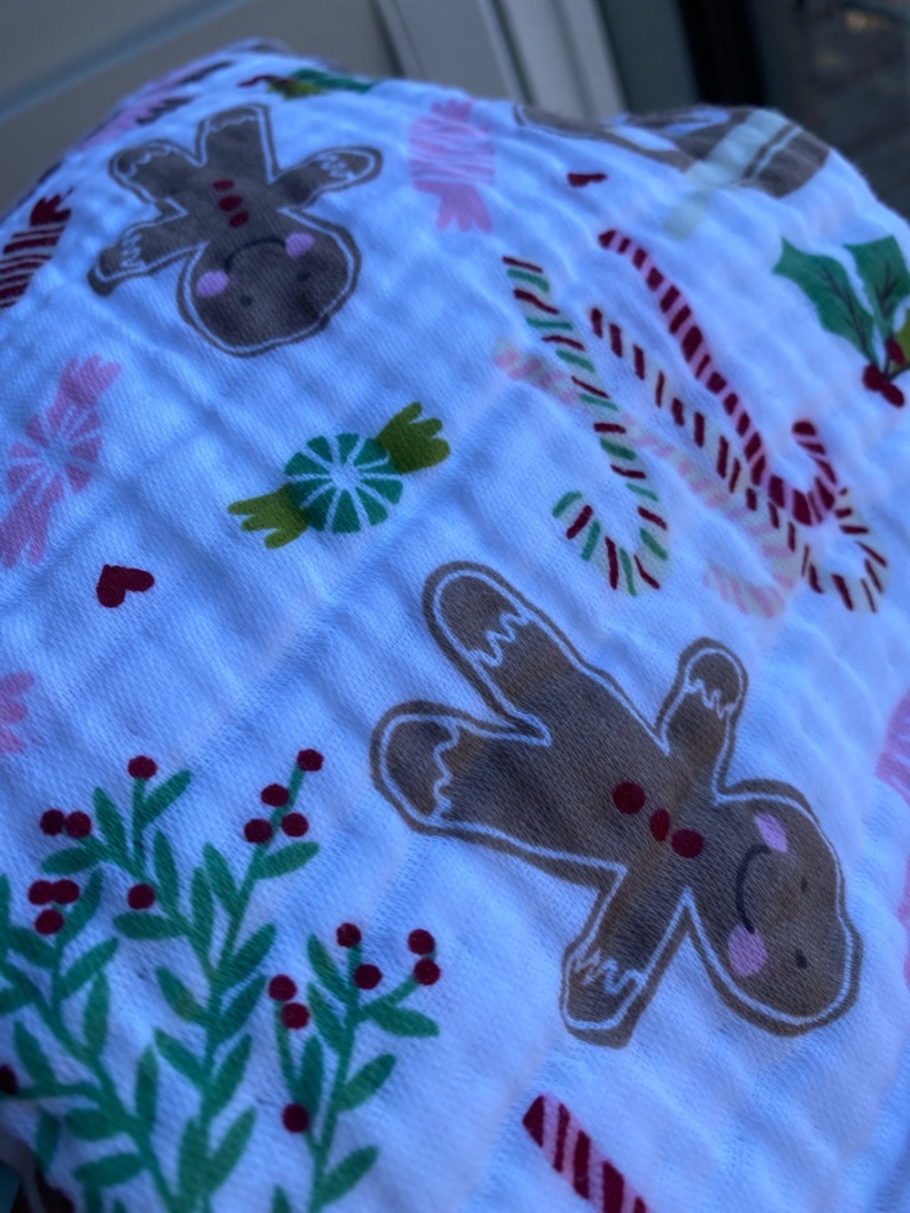🌼 NWT Shabby Chic Holiday Gingerbread & Candy Kitchen Towel Christmas Dish Towel - Picture 6 of 7
